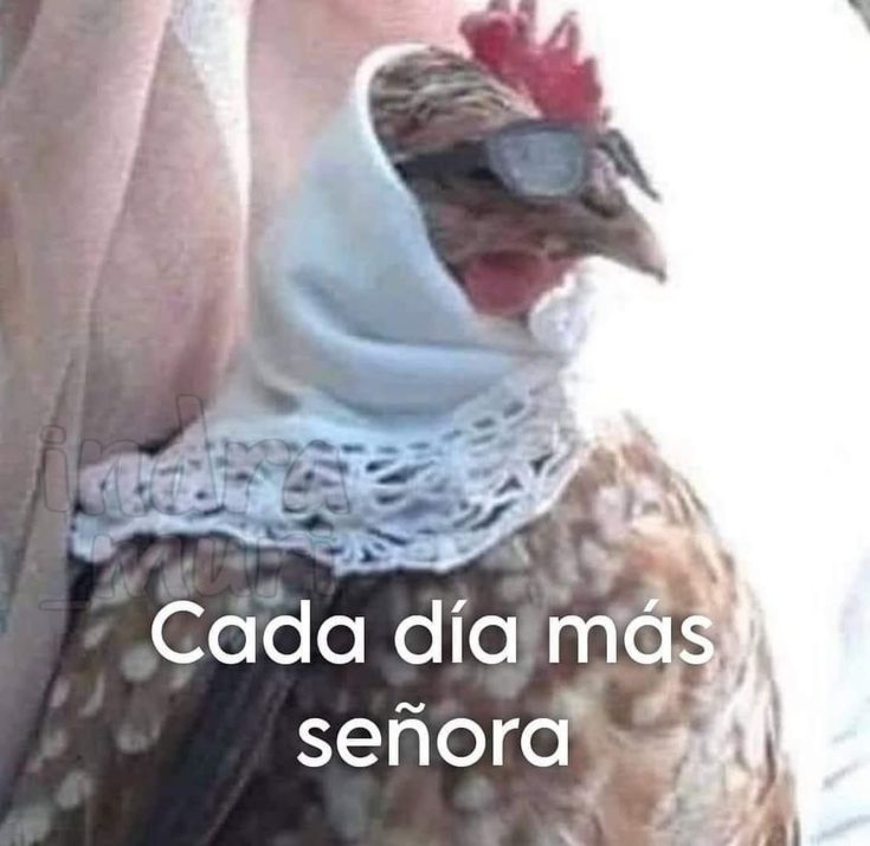 Imagen 740
